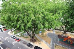 Park 1 Suites (D14), Apartment #176484522